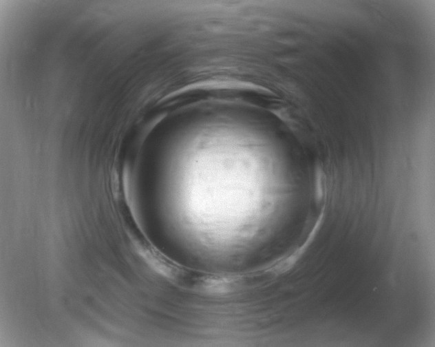 X0000082730190200701261254