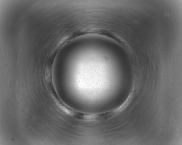 X0000082730192200701261254