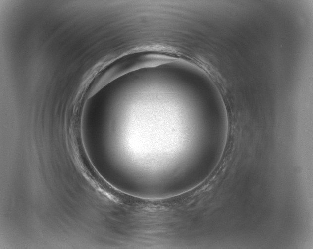 X0000082730193200701261254