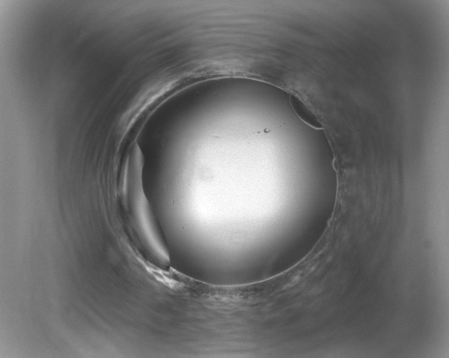 X0000082730194200701261254