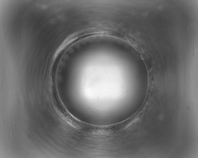 X0000082730198200701261254