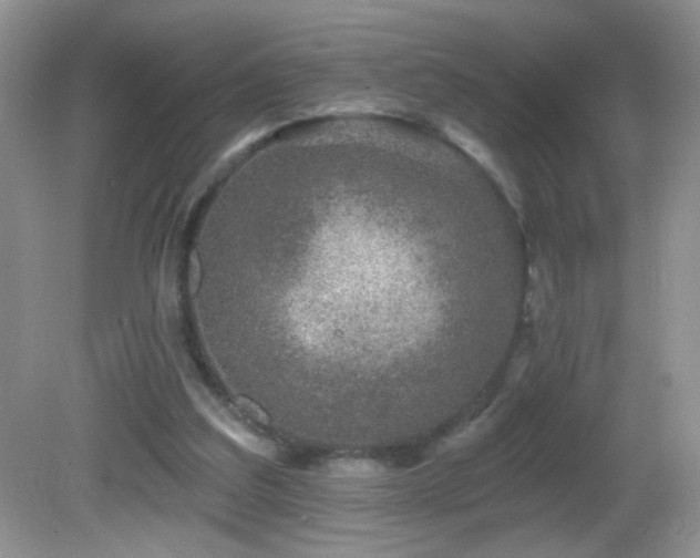 X0000082730203200701261254