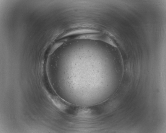 X0000082730206200701261253