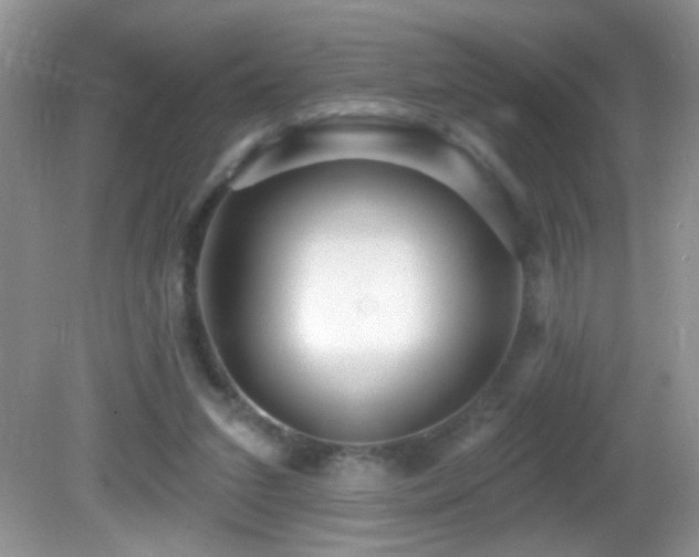 X0000082730207200701261253