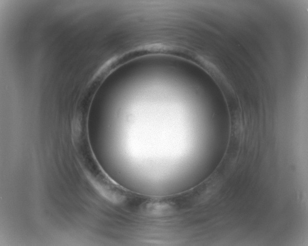 X0000082730208200701261253