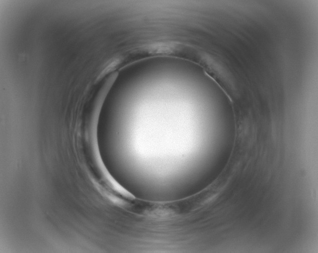 X0000082730209200701261253