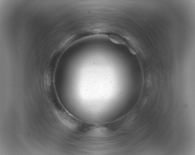 X0000082730210200701261253