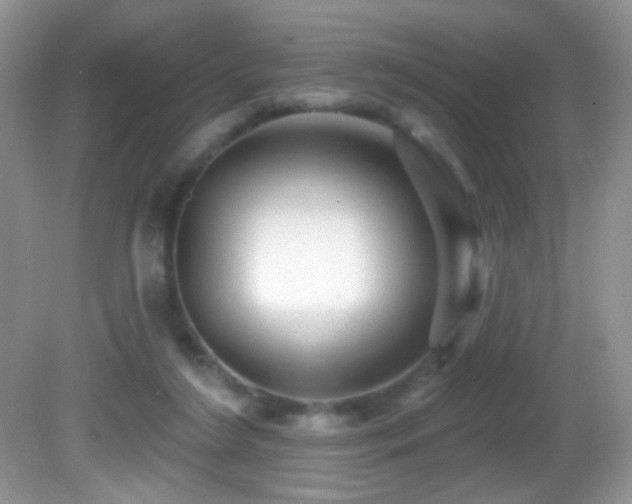 X0000082730212200701261253