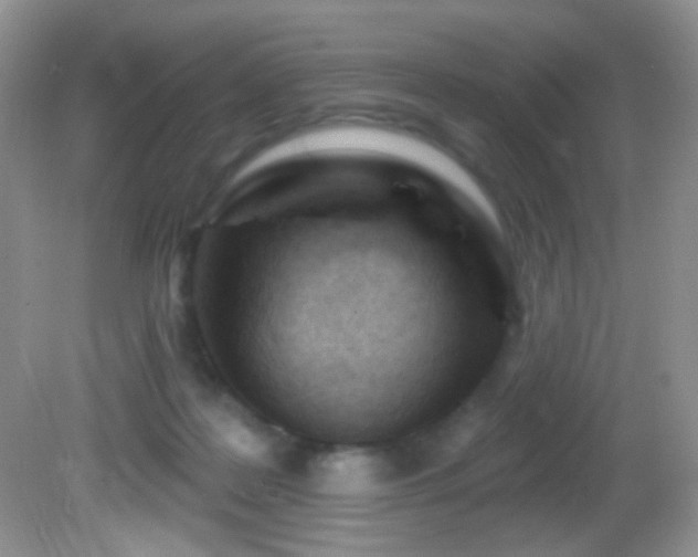X0000082730219200701261253