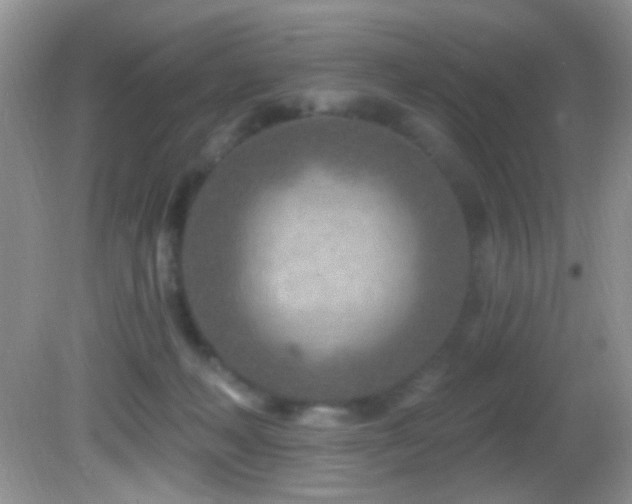 X0000082730222200701261253