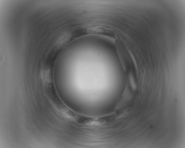 X0000082730224200701261253