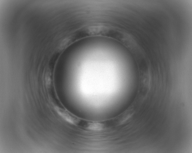 X0000082730226200701261253
