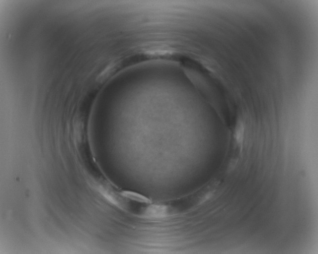 X0000082730227200701261253