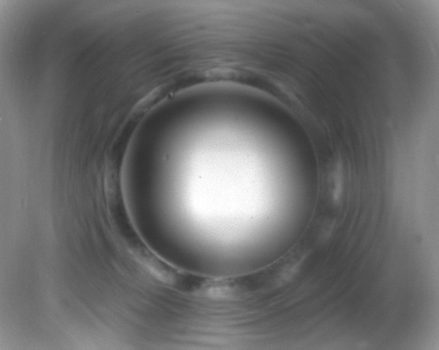 X0000082730228200701261253