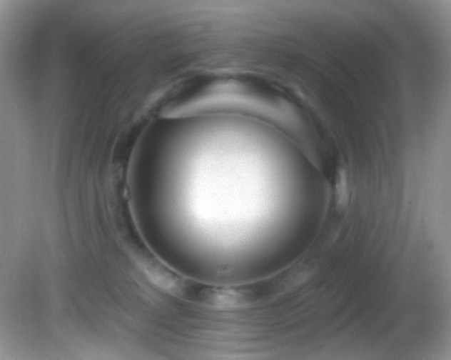 X0000082730229200701261253