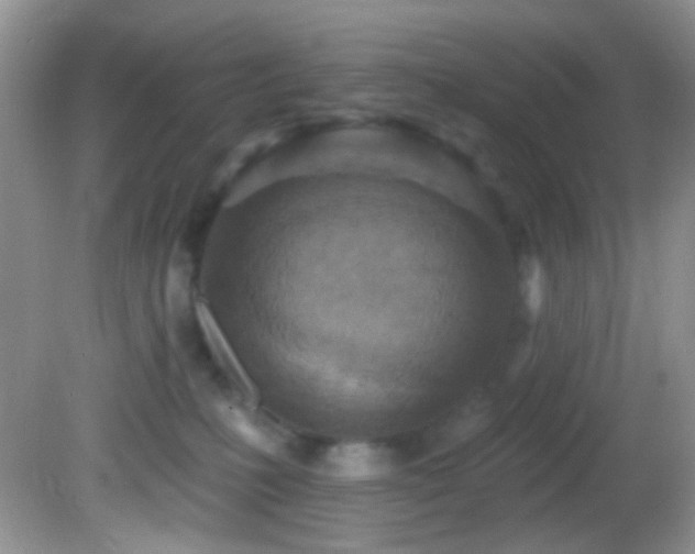 X0000082730231200701261253