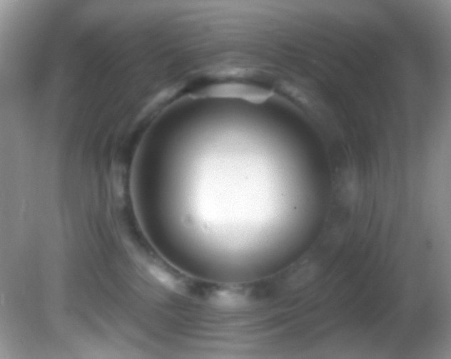 X0000082730232200701261253