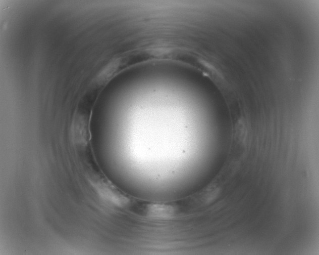 X0000082730234200701261253