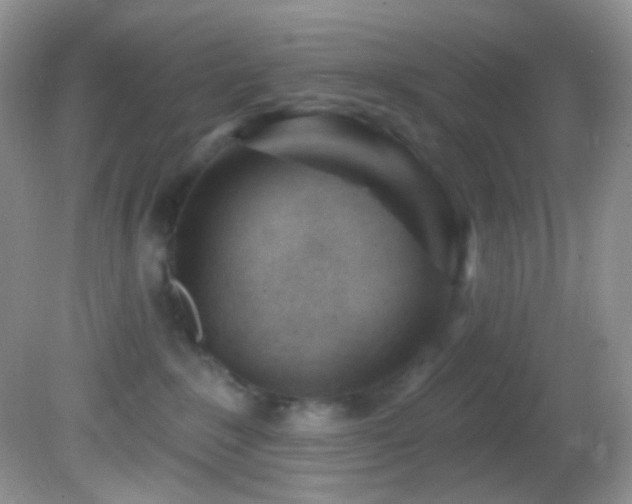 X0000082730235200701261253