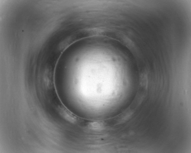 X0000082730238200701261253