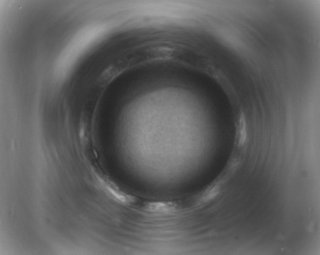 X0000082730239200701261253