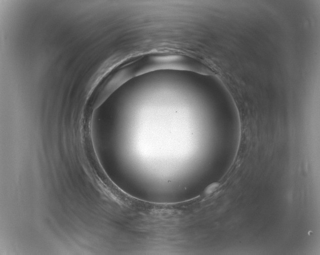 X0000082730242200701261252
