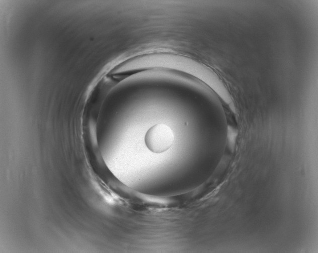 X0000082730244200701261252