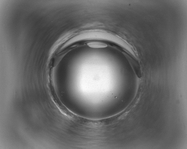 X0000082730245200701261252