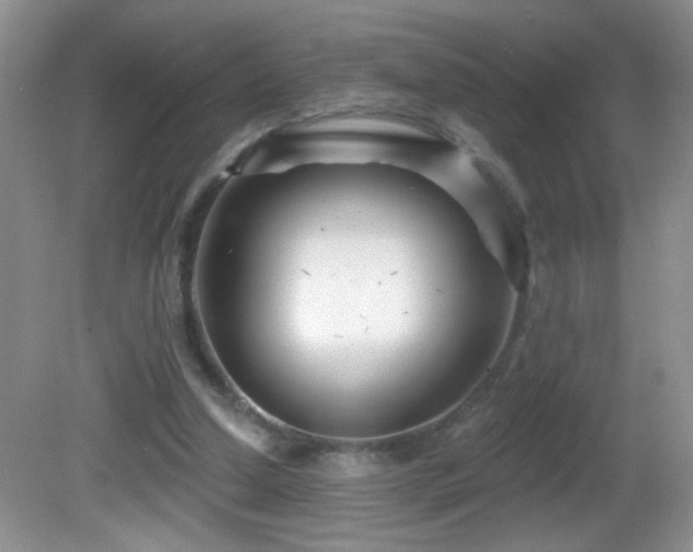 X0000082730250200701261252