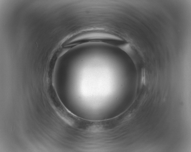 X0000082730252200701261252