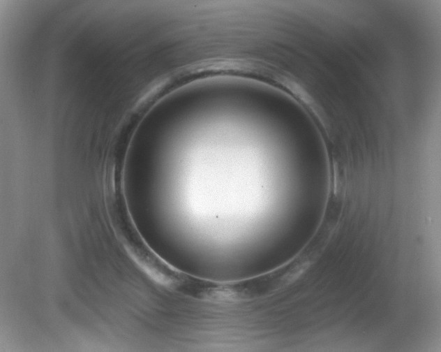 X0000082730253200701261252