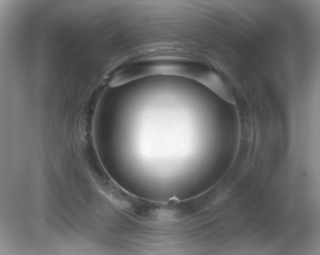 X0000082730255200701261252