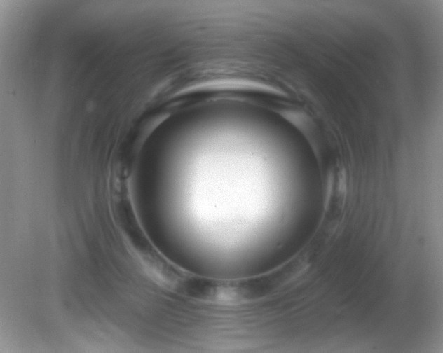 X0000082730264200701261252