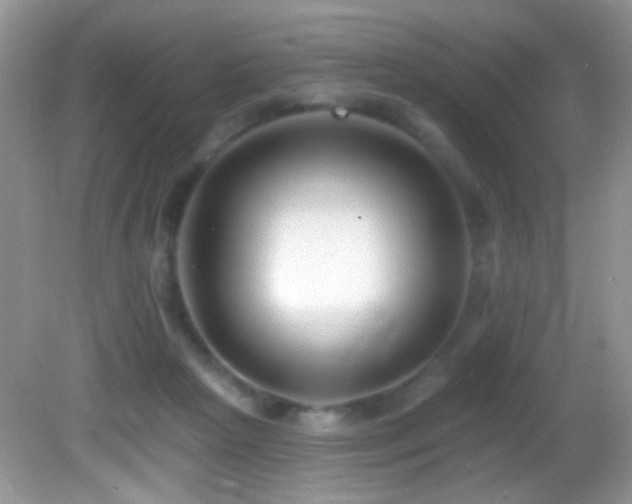 X0000082730265200701261252