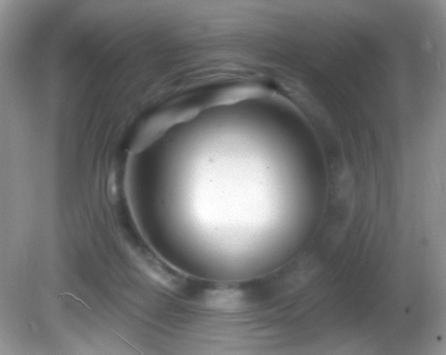 X0000082730266200701261252