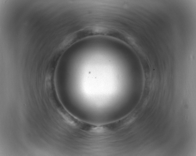 X0000082730269200701261253