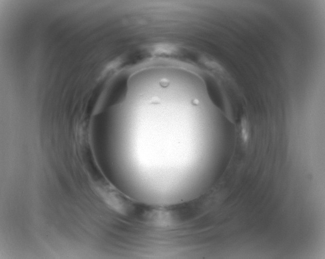 X0000082730276200701261253