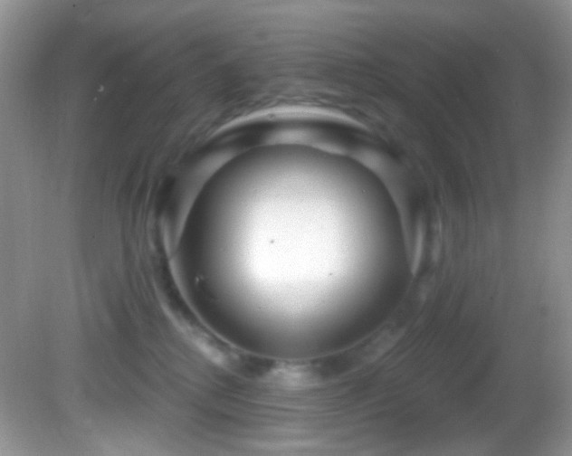 X0000082730280200701261253