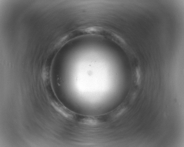 X0000082730284200701261253