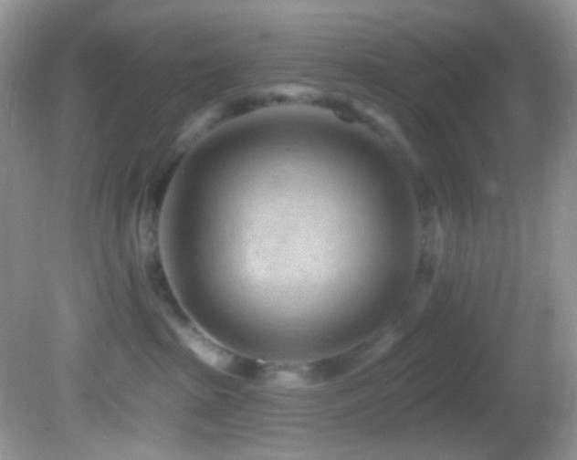 X0000082730285200701261253