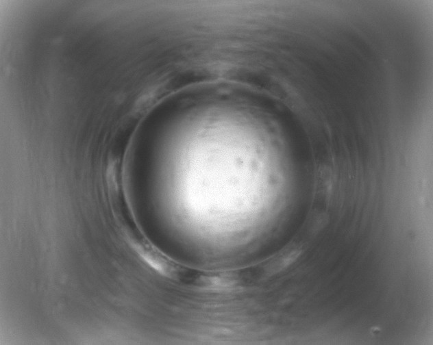 X0000082730286200701261253