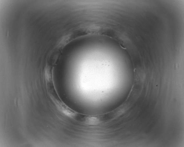 X0000082730287200701261253