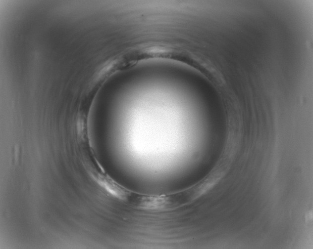 X0000082730288200701261253