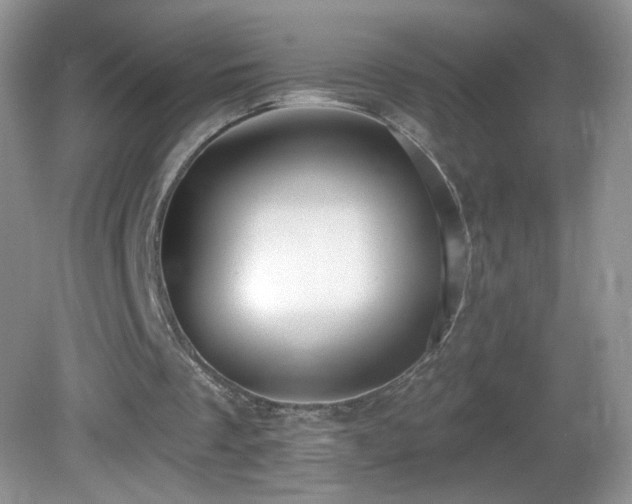 X0000082730289200701261252