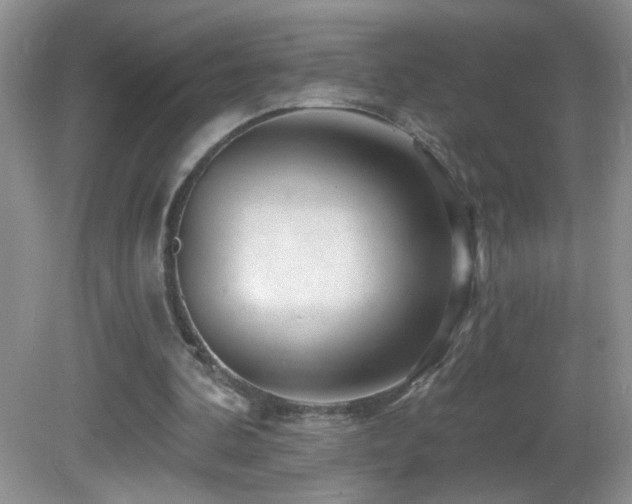 X0000082730292200701261252