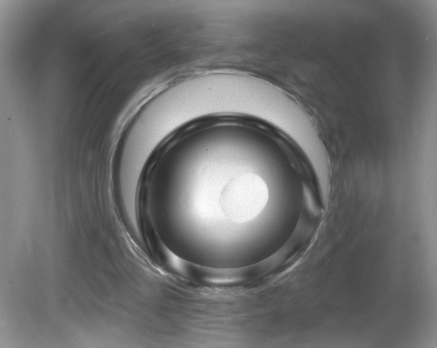 X0000082730293200701261252