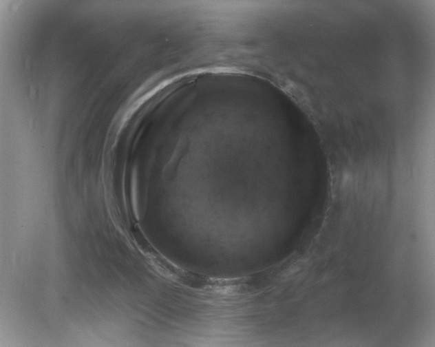 X0000082730295200701261252