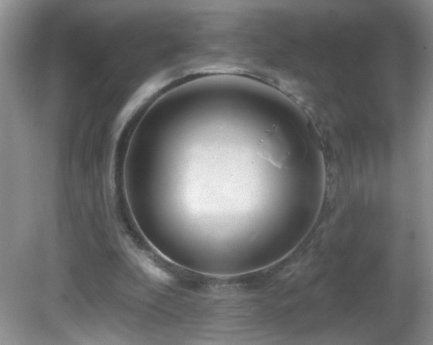 X0000082730296200701261252