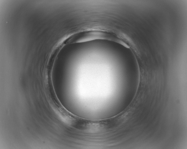 X0000082730298200701261252