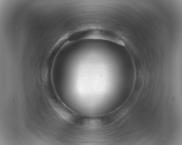 X0000082730304200701261252